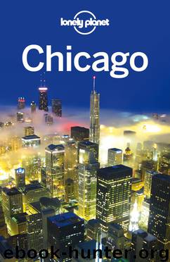 Chicago Travel Guide by Lonely Planet