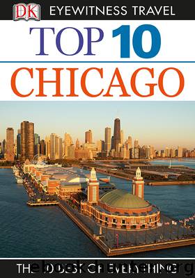 Chicago by Elisa Kronish