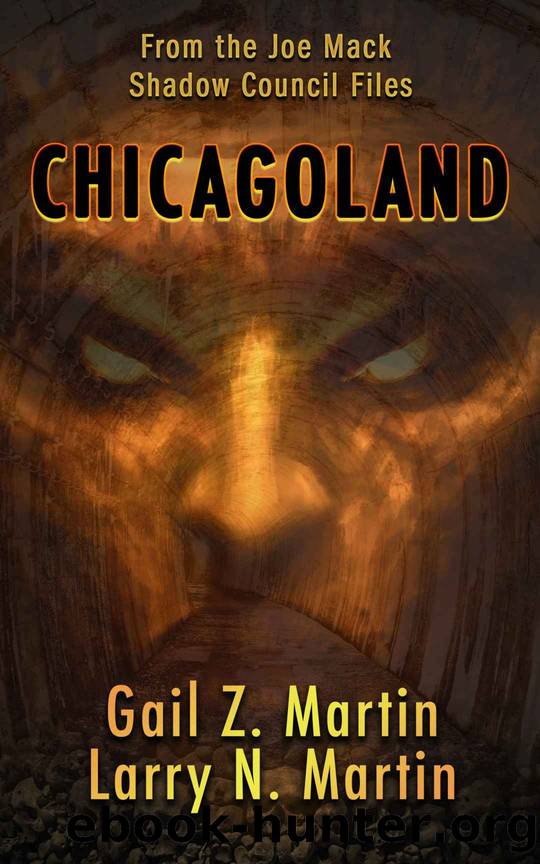 Chicagoland by Gail Z. Martin & Larry N. Martin