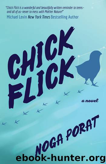 Chick Flick by Noga Porat