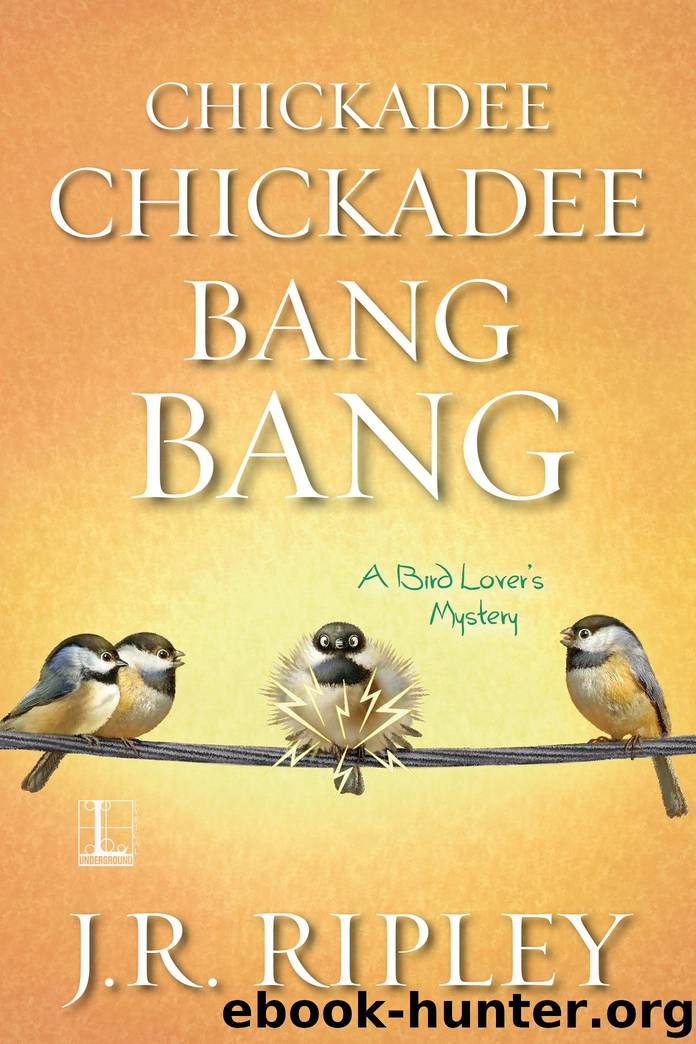 Chickadee Chickadee Bang Bang by J.R. Ripley