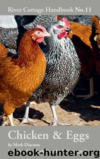 Chicken & Eggs by Mark Diacono