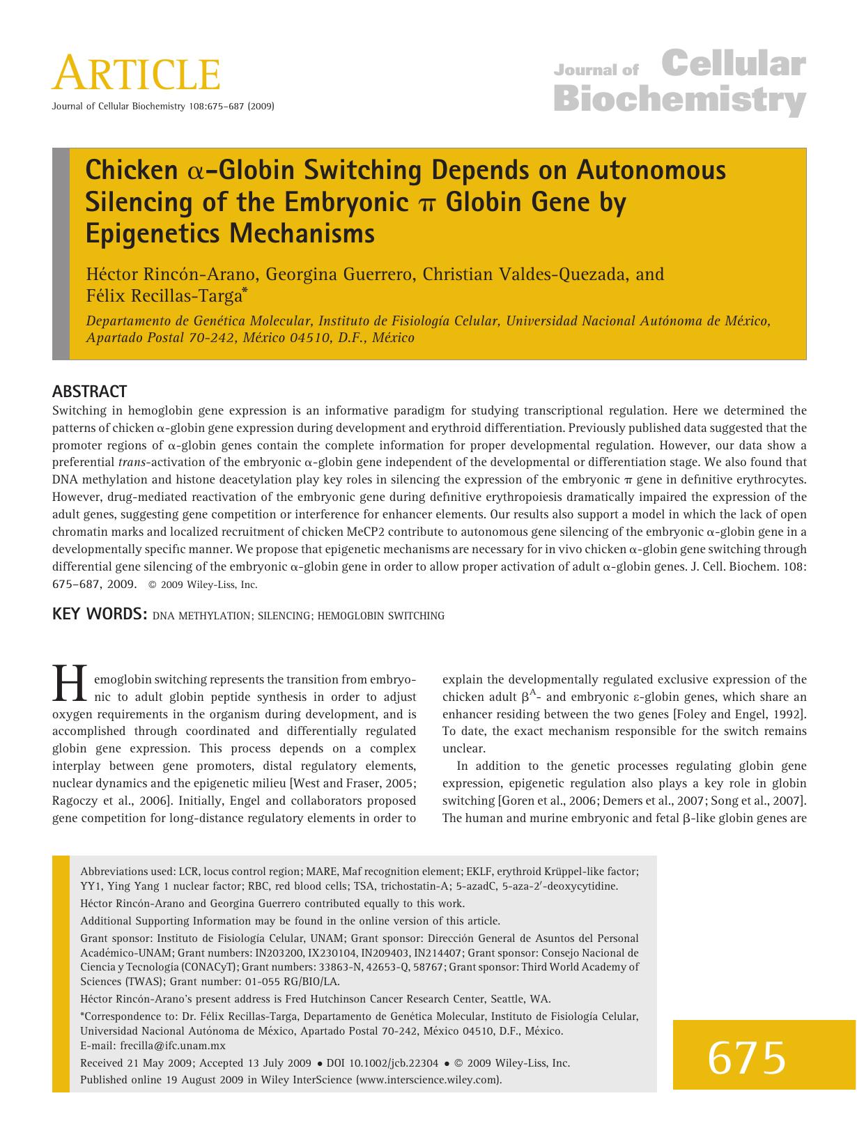 Chicken [alpha]-globin switching depends on autonomous silencing of the embryonic [pi] globin gene by epigenetics mechanisms by Unknown