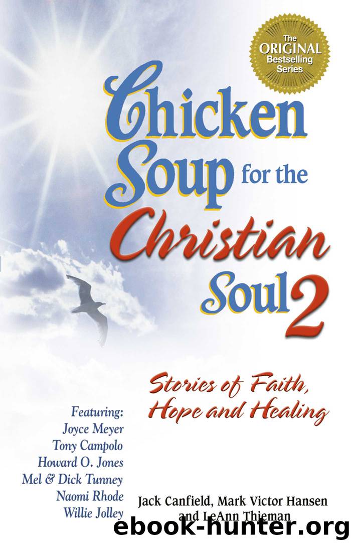 Chicken Soup for the Christian Soul 2 by Jack Canfield Mark Victor Hansen LeAnn Thieman