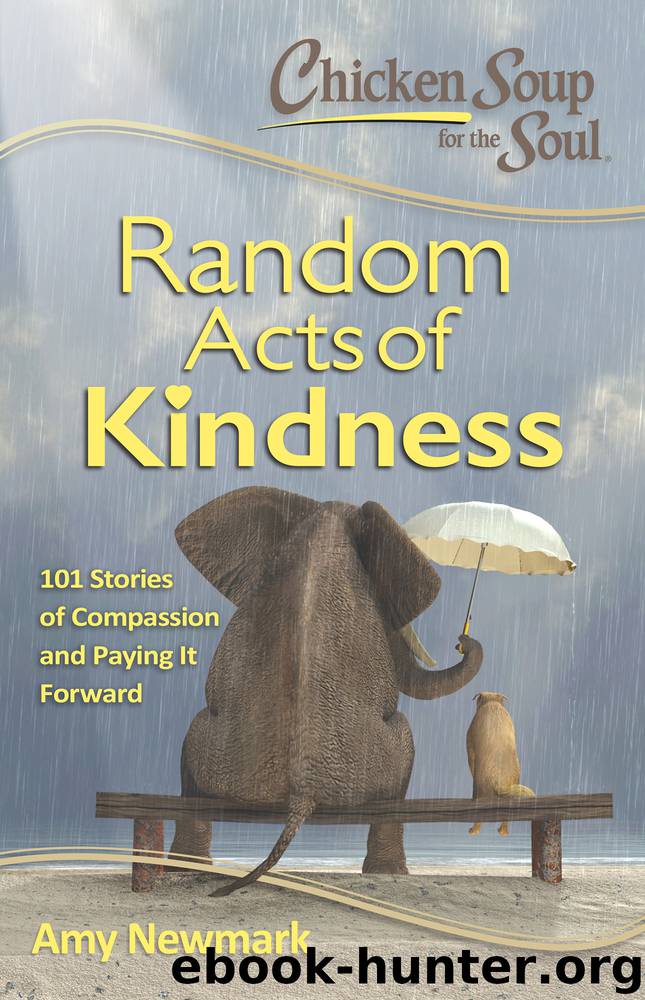 Chicken Soup for the Soul by Amy Newmark