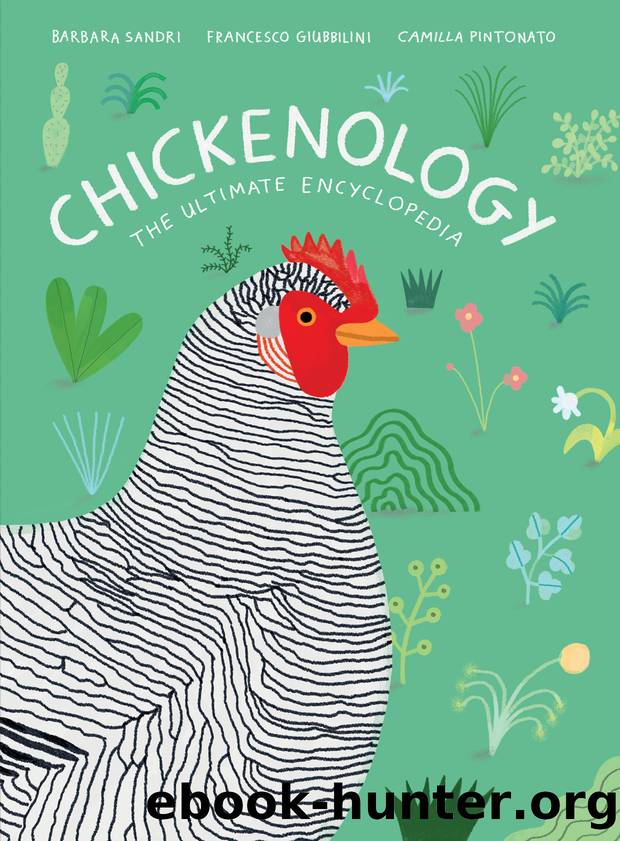 Chickenology by Barbara Sandri