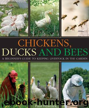 Chickens, Ducks and Bees by Paul Peacock