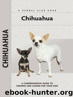 Chihuahua by Barbara J. Andrews