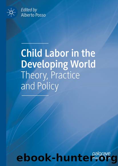 Child Labor in the Developing World by Unknown