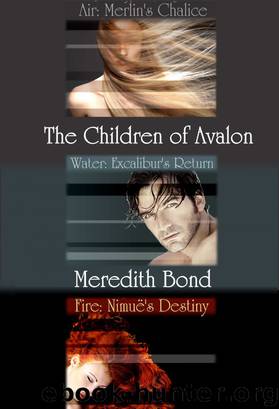 Children of Avalon by Meredith Bond