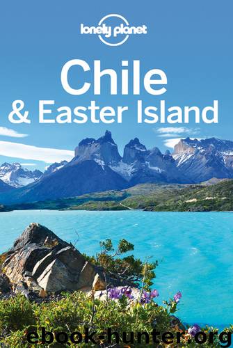 Chile & Easter Island Travel Guide by Lonely Planet
