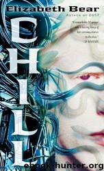 Chill (2009) by Bear Elizabeth