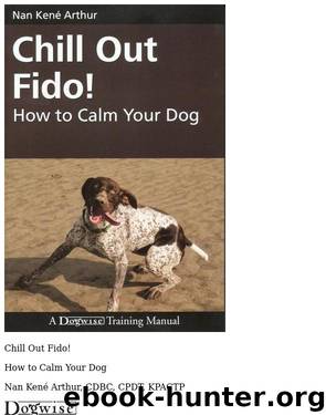 Chill Out Fido! How to Calm Your Dog by Nan Author