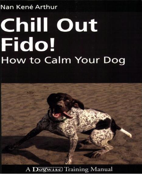 Chill Out Fido!: How to Calm Your Dog (Dogwise Training Manual) by Nan Kene Arthur
