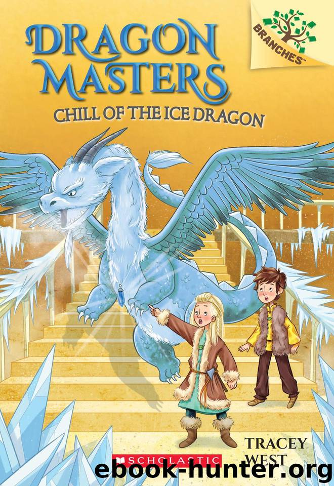 Chill of the Ice Dragon by Tracey West