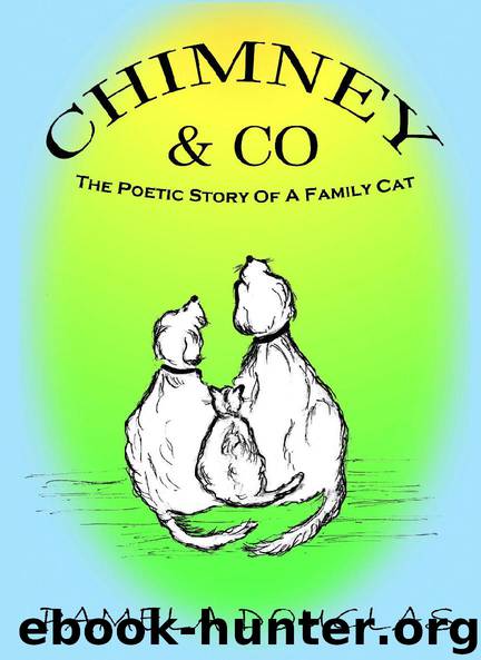 Chimney & Co. by Pamela Douglas
