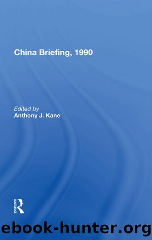China Briefing, 1990 by Anthony J. Kane