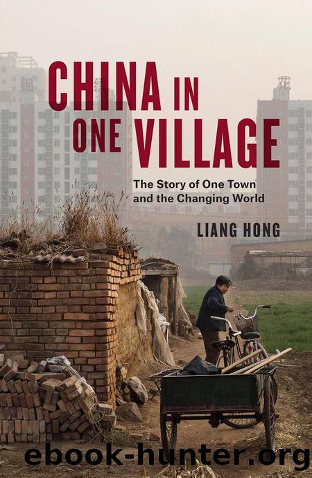 China in One Village: The Story of One Town and the Changing World by Liang Hong