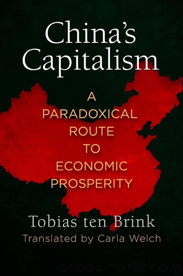 China's Capitalism by Tobias ten Brink