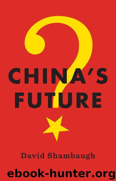 China's Future by David Shambaugh