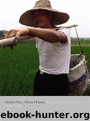 China's Past, China's Future by Smil Vaclav;