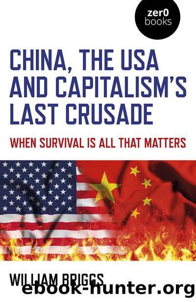 China, the USA and Capitalism's Last Crusade by William Briggs;