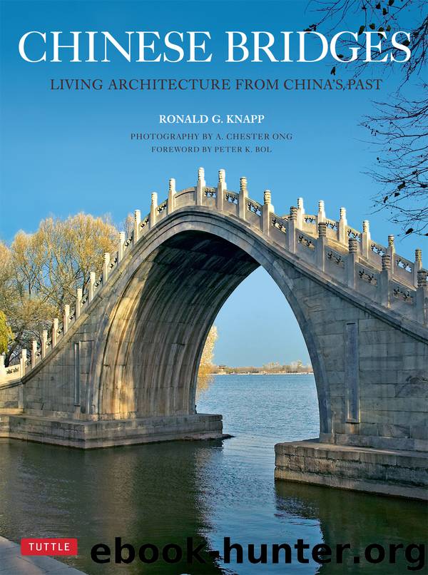 Chinese Bridges by Ronald G. Knapp