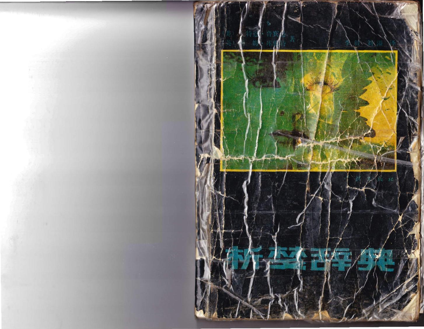 Chinese Dream book Complete by Unknown