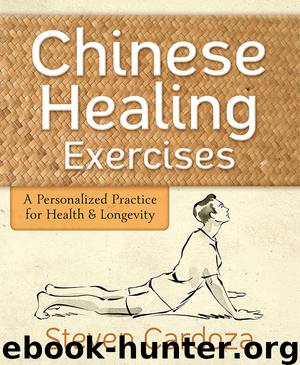 Chinese Healing Exercises by Steven Cardoza