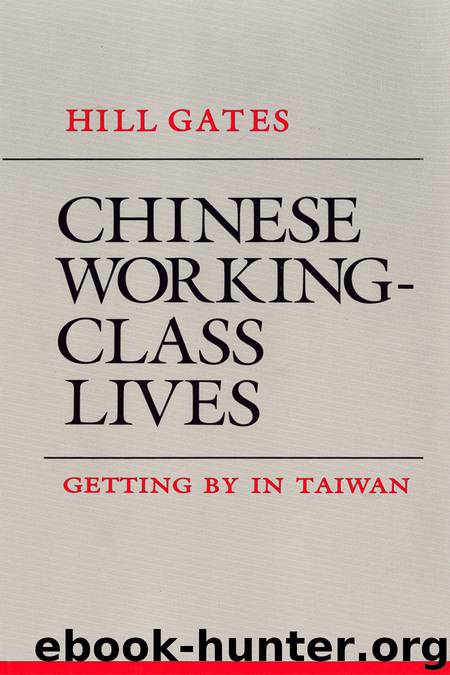 Chinese Working-Class Lives by Hill Gates
