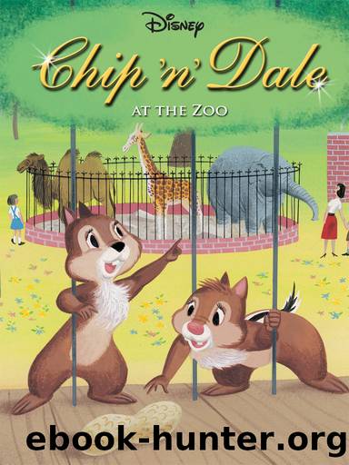 Chip 'n' Dale at the Zoo by Disney Books