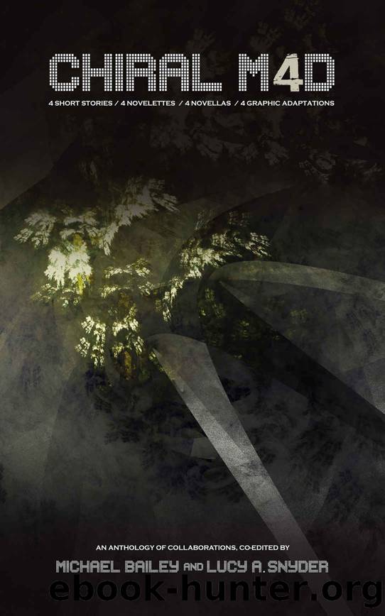 Chiral Mad 4: An Anthology of Collaborations by unknow
