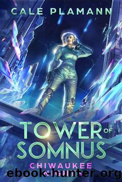 Chiwaukee Nights: A LitRPG Adventure (Tower of Somnus Book 2) by Cale Plamann