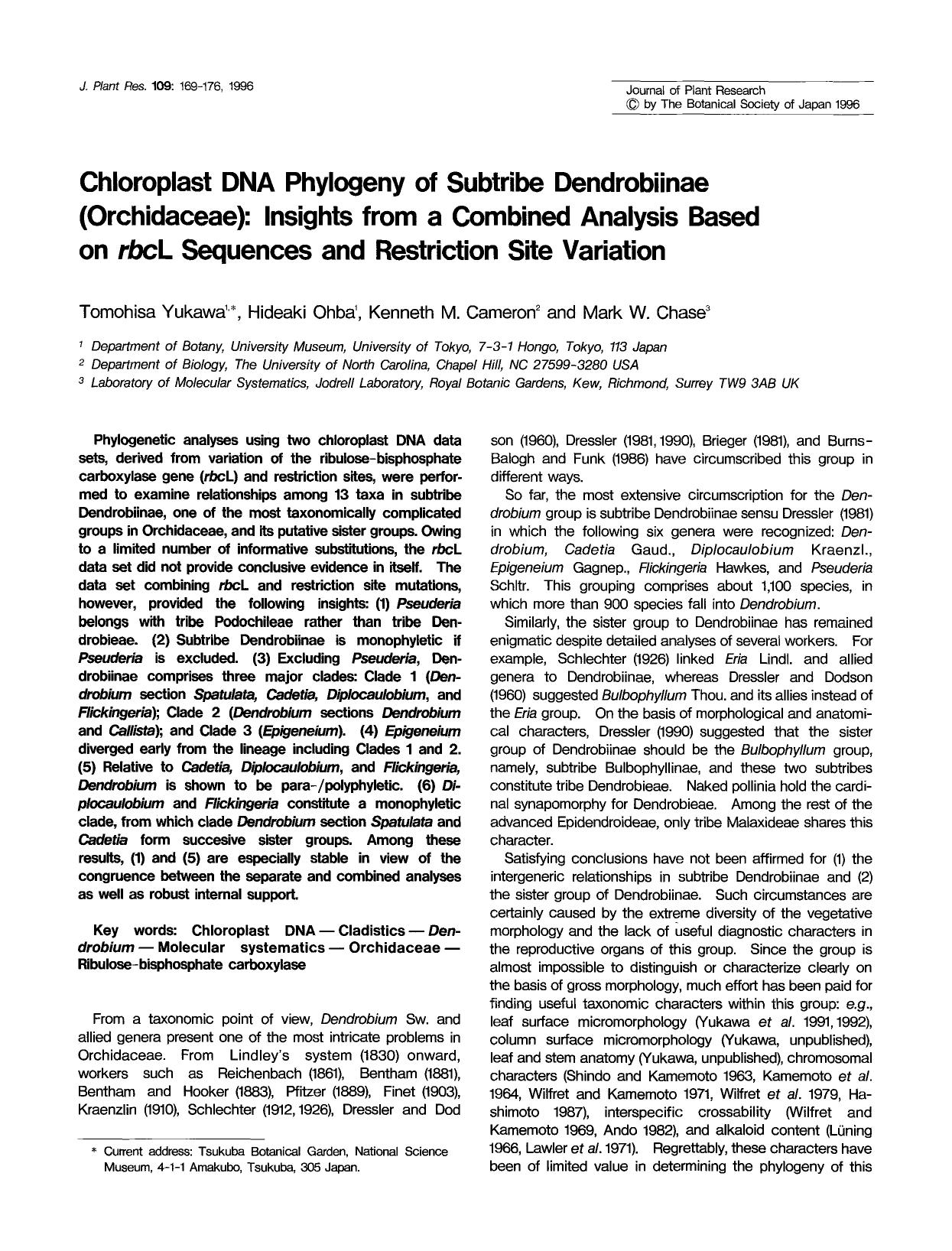 Chloroplast DNA phylogeny of subtribe Dendrobiinae (Orchidaceae): Insights from a combined analysis based on <Emphasis Type="Italic">rbc <Emphasis>L sequences and restriction site variation by Unknown