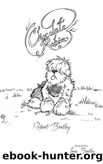 Chocolate Robin by Bradley Robert;