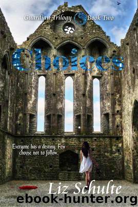 Choices by Liz Schulte