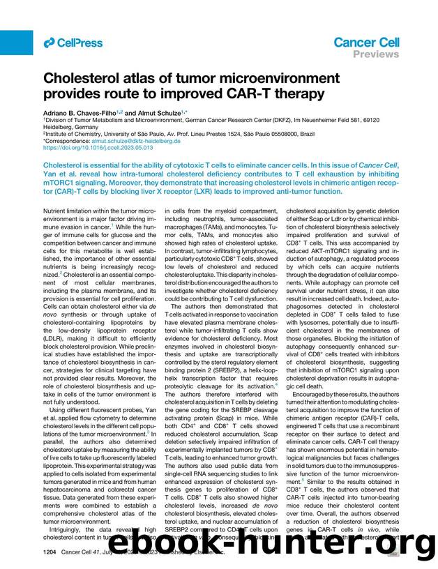 Cholesterol atlas of tumor microenvironment provides route to improved CAR-T therapy by Adriano B. Chaves-Filho & Almut Schulze