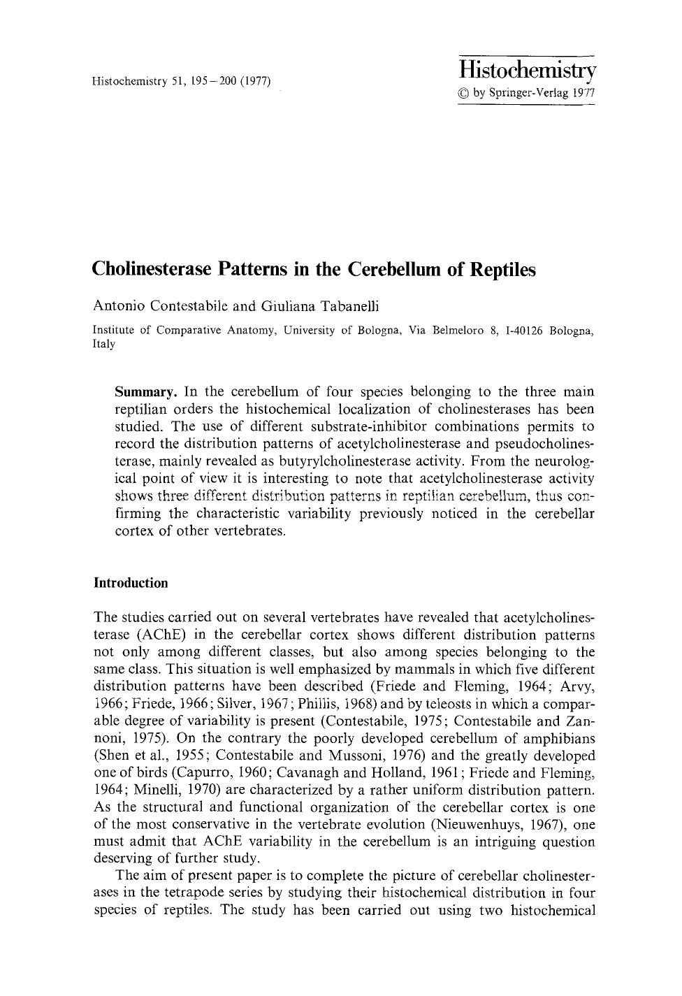 Cholinesterase patterns in the cerebellum of reptiles by Unknown