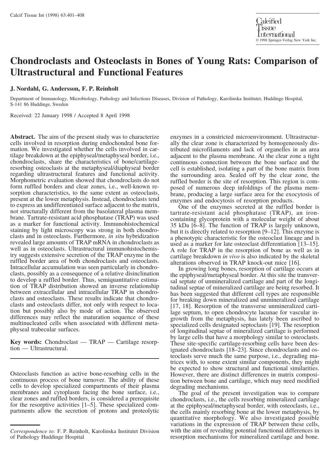 Chondroclasts and Osteoclasts in Bones of Young Rats: Comparison of Ultrastructural and Functional Features by Nordahl J. et al