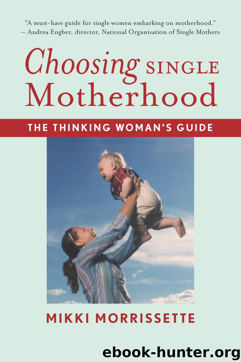 Choosing Single Motherhood by Mikki Morrissette