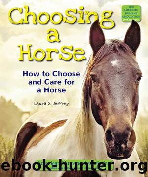 Choosing a Horse by Laura S. Jeffrey