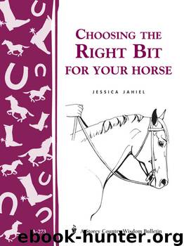 Choosing the Right Bit for Your Horse by Jessica Jahiel