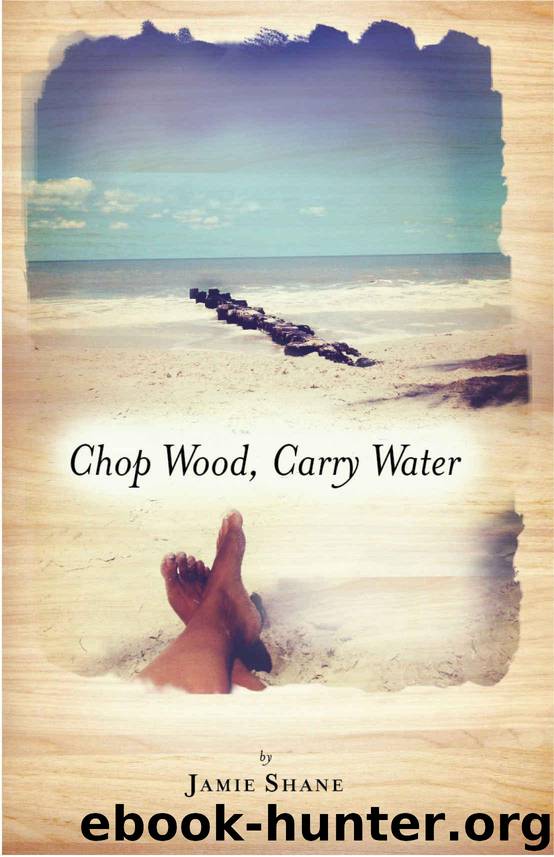 Chop Wood, Carry Water by Jamie Shane