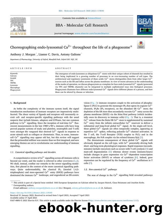 Choreographing endo-lysosomal Ca2+ throughout the life of a phagosome by Anthony J. Morgan & Lianne C. Davis & Antony Galione