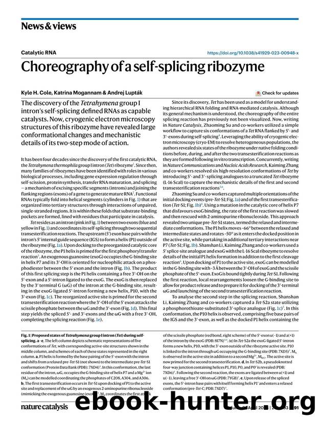 Choreography of a self-splicing ribozyme by Kyle H. Cole & Katrina Mogannam & Andrej Lupták