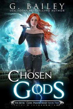 Chosen Gods (The Secret Gods Prison Series Book 2) by G. Bailey