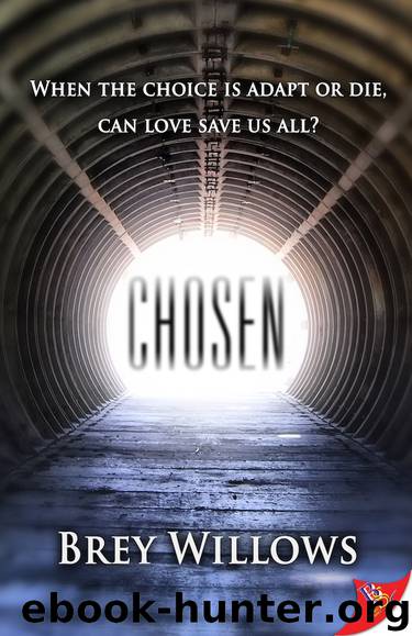 Chosen by Brey Willows