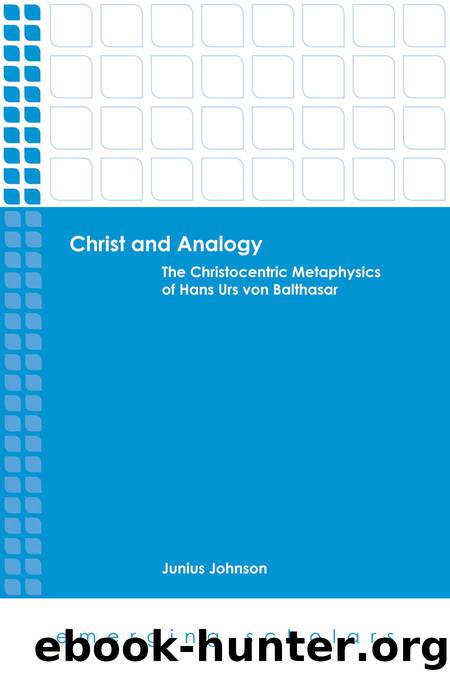 Christ and Analogy by Johnson Junius