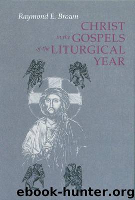 Christ in the Gospels of the Liturgical Year by Witherup Ronald D.; Witherup Ronald D.; Donahue John R