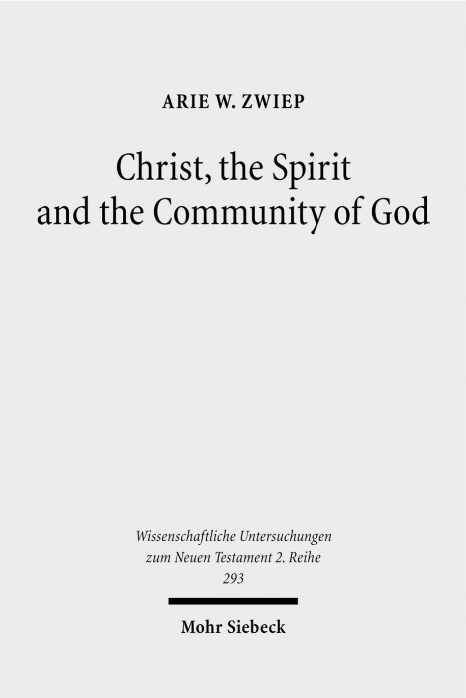 Christ, the Spirit and the Community of God: Essays on the Acts of the Apostles (Wissenschaftliche Untersuchungen Zum Neuen Testament 2.Reihe) by Arie W Zwiep